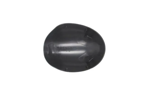 BLIC 6103-09-2002218P Housing, exterior mirror