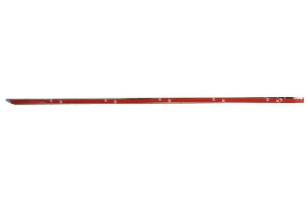 BLIC 5703-04-3518573P Trim/Protection Strip, door