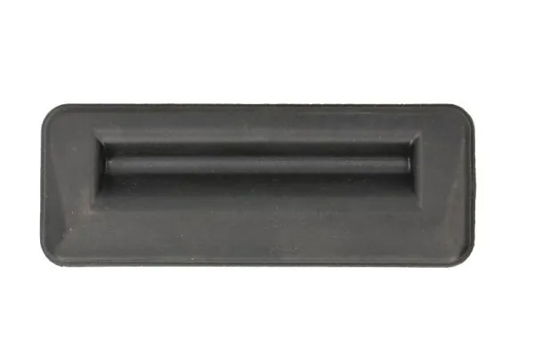 Exterior Door Handle 6010-43-008417P