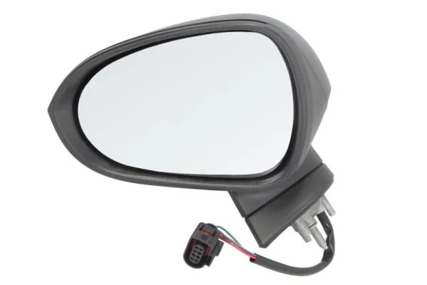 Exterior Mirror 5402-10-2002293P