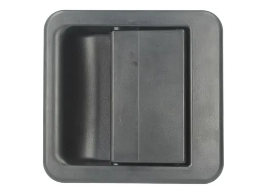 Exterior Door Handle 6010-07-006405P