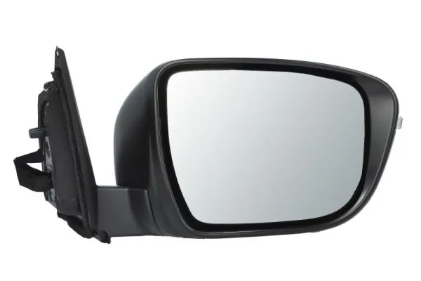 Exterior Mirror 5402-16-1020313P