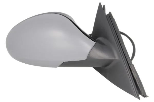 Exterior Mirror 5402-10-2002276P