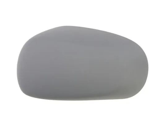 Housing, exterior mirror 6103-01-1311179P