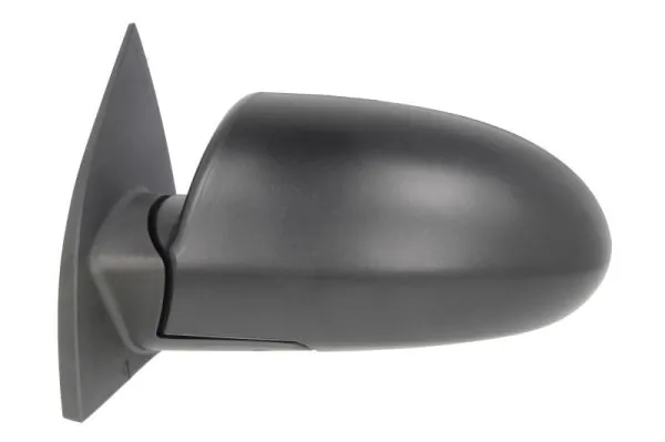 BLIC 5402-20-2001357P Exterior Mirror