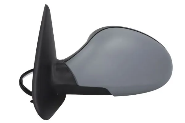 Exterior Mirror 5402-04-1139997P