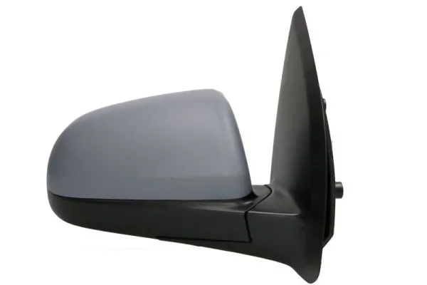 BLIC 5402-56-2001070P Exterior Mirror