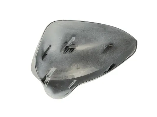 BLIC 6103-10-016352P Housing, exterior mirror