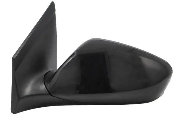 BLIC 5402-20-0542310P Exterior Mirror