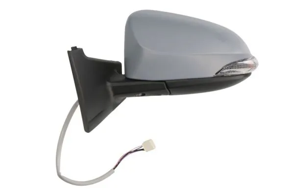 Exterior Mirror 5402-19-2002557P