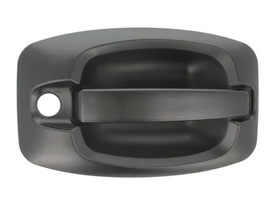 Exterior Door Handle 6010-07-038401P