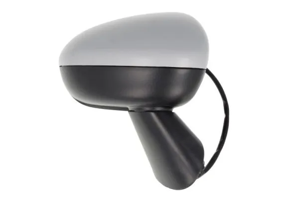 Exterior Mirror 5402-04-2002004P