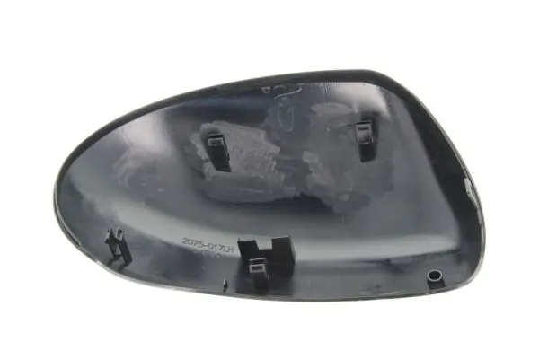 BLIC 6103-16-2001879P Housing, exterior mirror