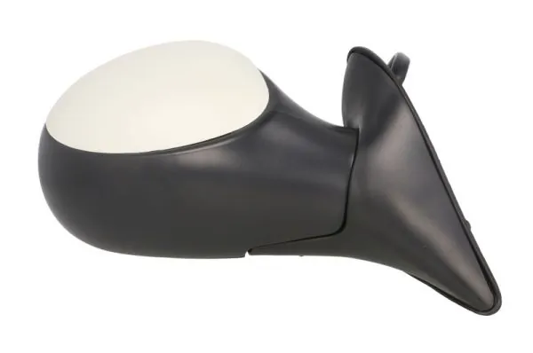 Exterior Mirror 5402-04-1112339P