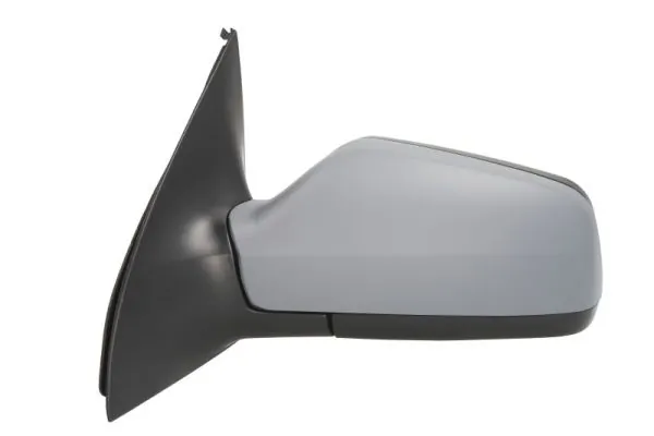 Exterior Mirror 5402-04-2001977P