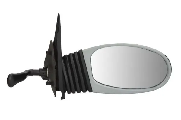 Exterior Mirror 5402-04-1115911P