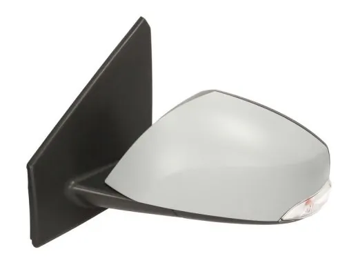 BLIC 5402-04-1121588P Exterior Mirror