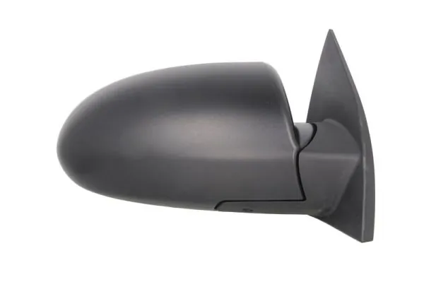 Exterior Mirror 5402-20-2001358P