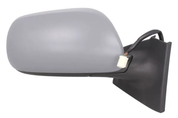 Exterior Mirror 5402-19-2002546P