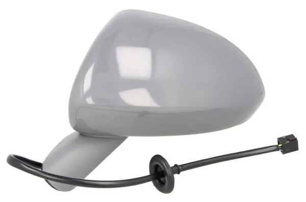 Exterior Mirror 5402-04-2001989P