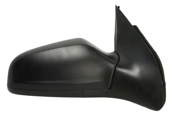 Exterior Mirror 5402-04-1121243P