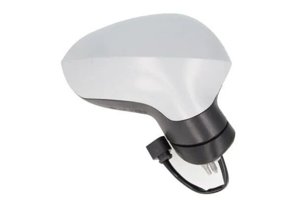 Exterior Mirror 5402-10-2002296P