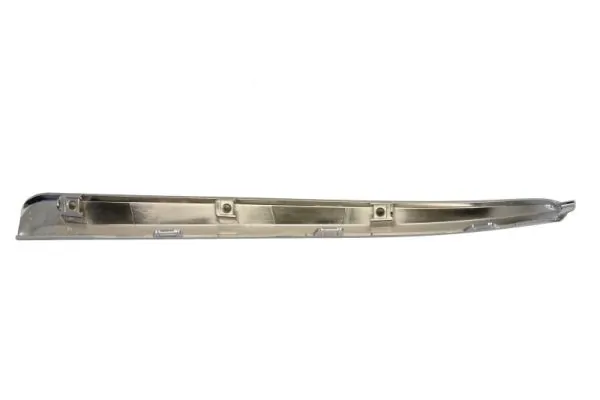 BLIC 6502-07-0925920P Trim/Protection Strip, bumper