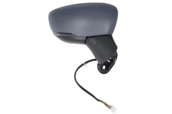 BLIC 5402-16-2104319P Exterior Mirror