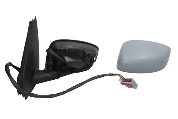 Exterior Mirror 5402-04-1139931P