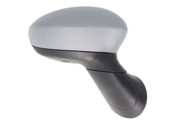 Exterior Mirror 5402-04-1122933P