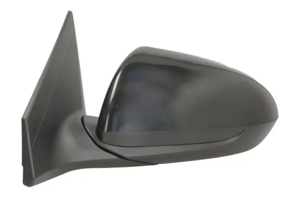 BLIC 5402-20-1729310P Exterior Mirror