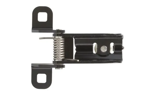 BLIC 6003-00-0227P Door Hinge