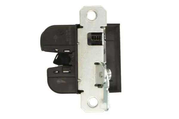 Tailgate Lock 6010-01-015449P