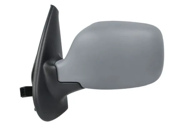 Exterior Mirror 5402-04-9239172P
