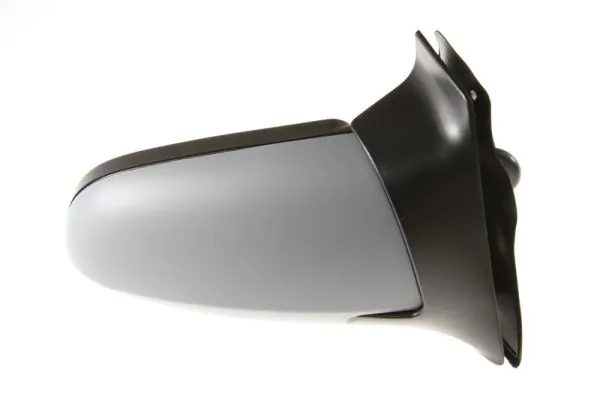 Exterior Mirror 5402-04-1121234P