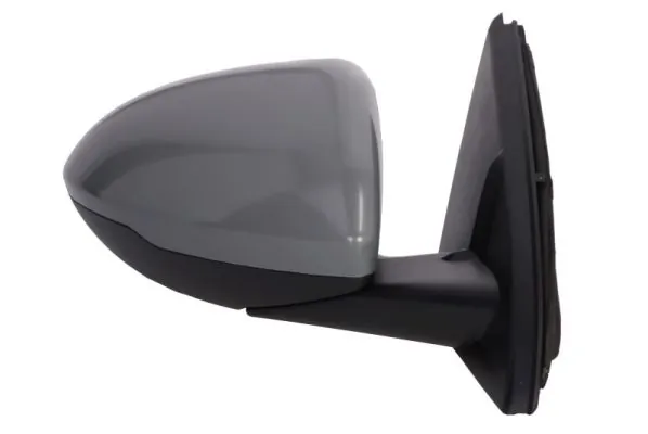 BLIC 5402-04-1785313P Exterior Mirror