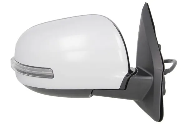 BLIC 5402-15-2001848P Exterior Mirror