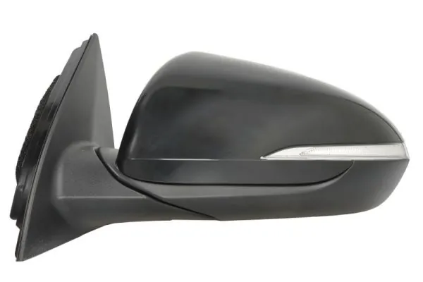 BLIC 5402-20-1966314P Exterior Mirror
