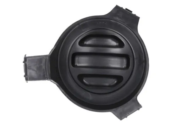 BLIC 6502-07-2098916P Ventilation Grilles, bumper