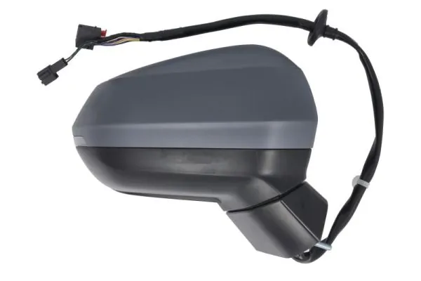 BLIC 5402-25-0067317P Exterior Mirror