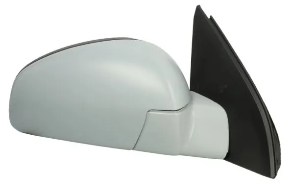 Exterior Mirror 5402-04-1139226P
