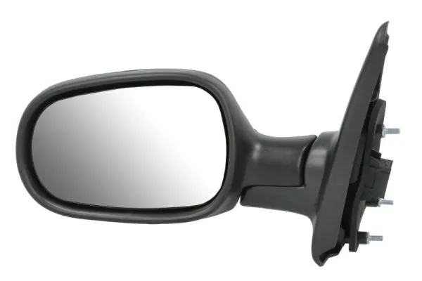 Exterior Mirror 5402-04-1125221P