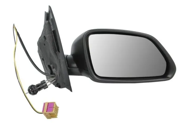 Exterior Mirror 5402-04-1191111P
