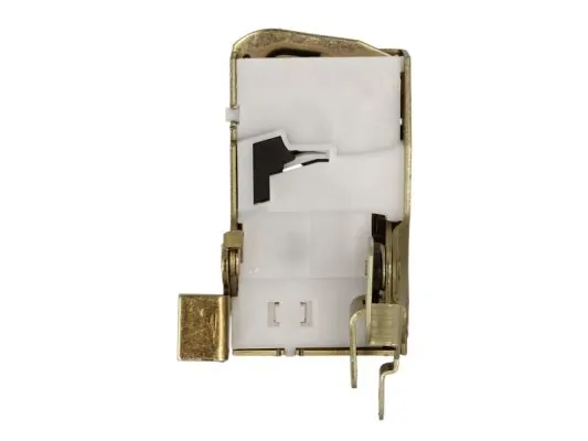 BLIC 6010-03-014421P Door Lock