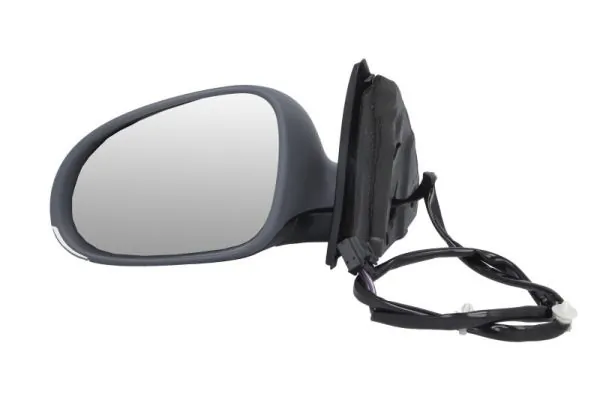 Exterior Mirror 5402-04-1131121P