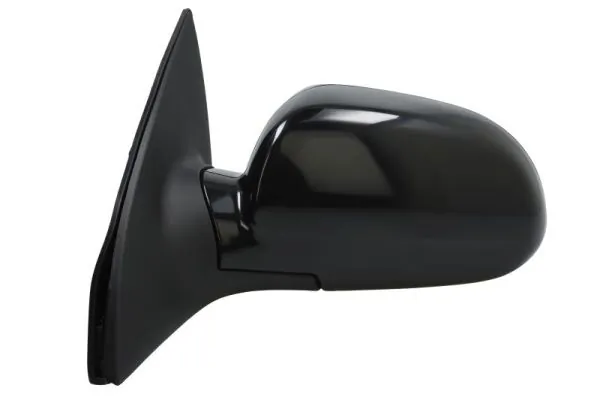 BLIC 5402-56-2001071P Exterior Mirror