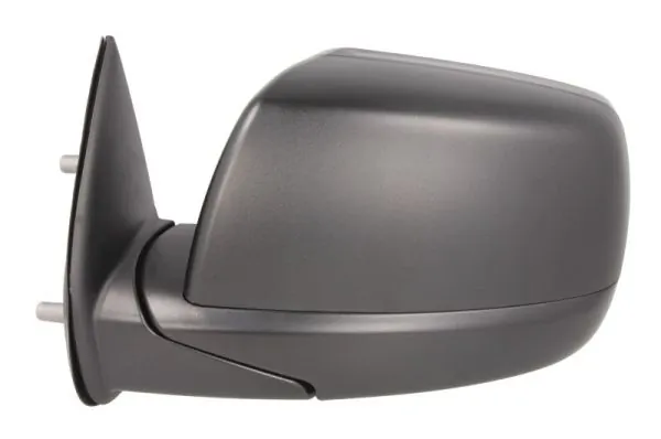 BLIC 5402-03-2001229P Exterior Mirror