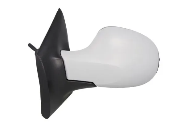 Exterior Mirror 5402-09-2002221P