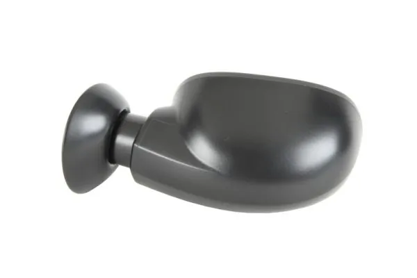 Exterior Mirror 5402-04-1111599P