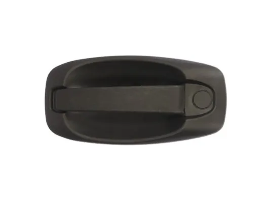 Exterior Door Handle 6010-07-043402P